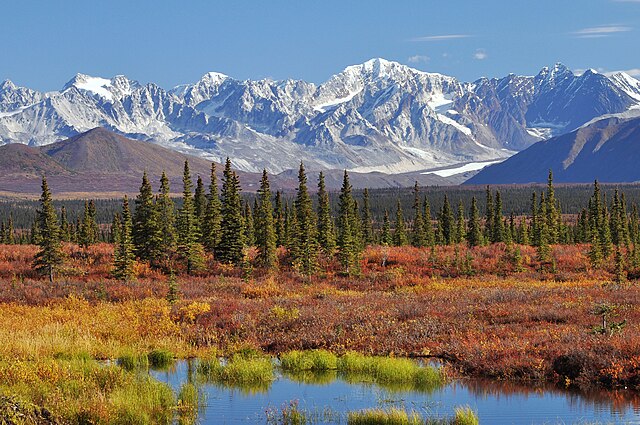 Monahan_Flat_and_the_eastern_Alaska_Range_mountains