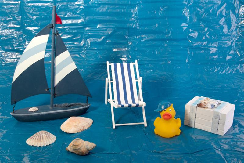 Duck near Lilttle Ship